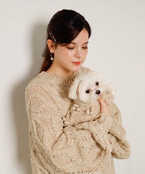 moncheri（モンシェリ）の「【リンクコーデSET】ケーブルポンポンドロップショルダーニット（ペットウェア・レディース・ベージュ/グレー・S/M/L/XL）」の17枚目の写真