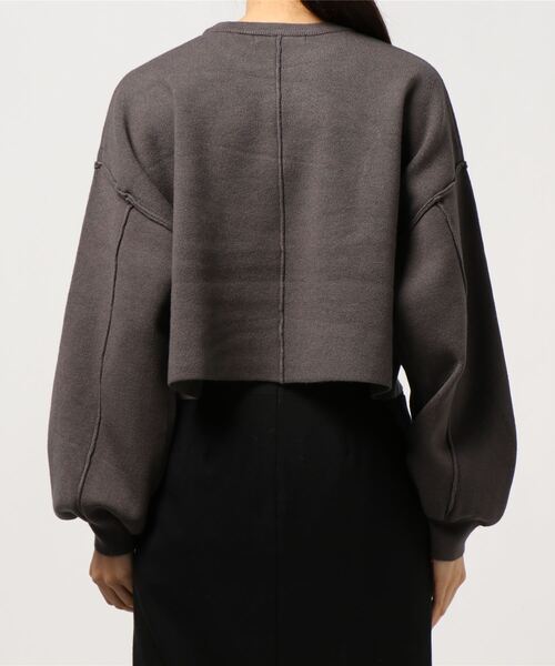 archives(アルシーヴ)の「短丈ニットプルオーバー(ニット/セーター・レディース・モカ/アイボリー/チャコールグレー/ピンクベージュ/ブルー・MEDIUM)」の6枚目の写真