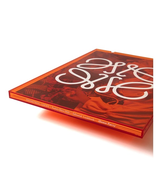 LOEWE（ロエベ）の「フリンジ ハイトップ ローファー (スプリットカーフ)（ローファー・メンズ・ゴールド・41/42）」の3枚目の写真