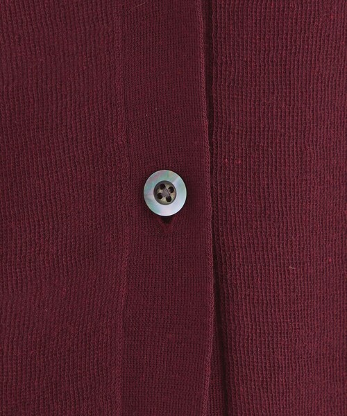 green label relaxing(グリーンレーベルリラクシング)の「フォルム シアー ジレ ベスト -ウォッシャブル-(ベスト・レディース・ワインレッド/ブラック/オフホワイト・FREE)」の13枚目の写真
