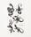 WEGOiEBS[j́uWEGO/Zbg^gD[V[iRX`[/p[eB[ObYjvb̑3