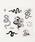 WEGOiEBS[j́uWEGO/Zbg^gD[V[iRX`[/p[eB[ObYjvb̑4