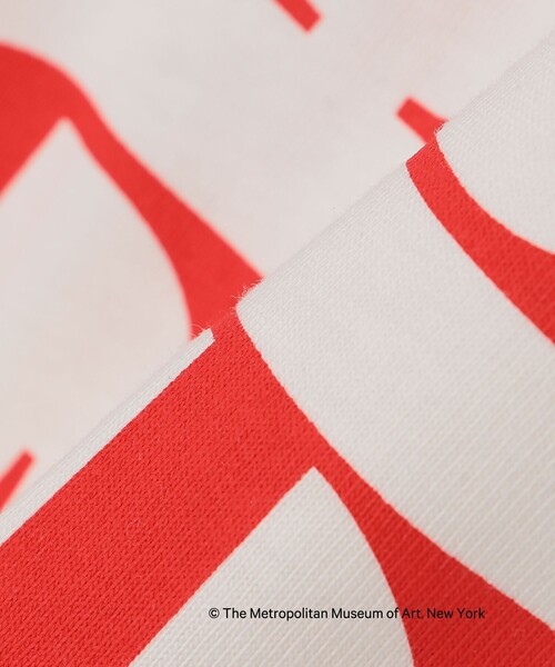 SHIPS Colors(シップス カラーズ)の「SHIPS Colors:THE MET コラボ プリントTシャツ(Tシャツ/カットソー・メンズ・ダークグレー/ライトホワイト/ホワイト/ホワイト系その他/ストーン/ブラック・MEDIUM/LARGE/X-LARGE)」の18枚目の写真