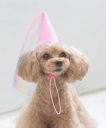 Calulu(J)Calulu/HAPPYBIRTHDAYp[eB[nbg(̑ybgObY)