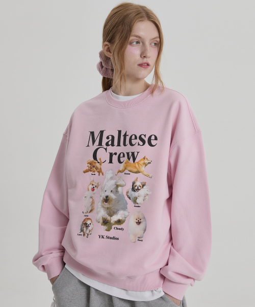 WaiKei（ワイケイ）の「マルチーズクルーマンツーマンライトピンク（スウェット・レディース・その他・2/1）」の3枚目の写真