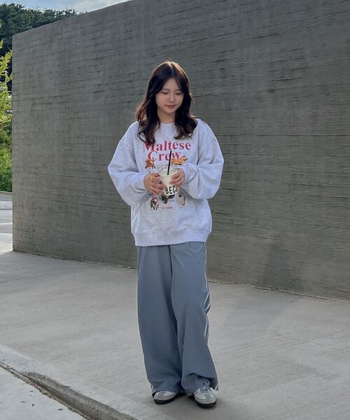 WaiKei（ワイケイ）の「マルチーズクルーマンツーマンライトピンク（スウェット・レディース・その他・2/1）」の17枚目の写真