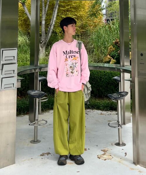 WaiKei（ワイケイ）の「マルチーズクルーマンツーマンライトピンク（スウェット・レディース・その他・2/1）」の22枚目の写真