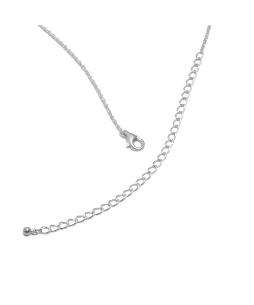 Disney(ディズニー)の「美女と野獣 プリンス ローズネックレス(ネックレス・メンズ・シルバー・ONE SIZE)」の4枚目の写真