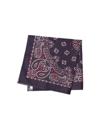 ARCHIVER（アーカイバ）の「【78】【HAV-A-HANK】PAISLEY　BANDANNA（バンダナ/スカーフ）」