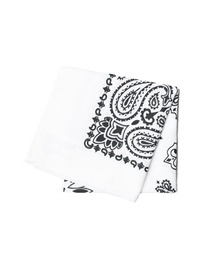 HAV-A-HANK（ハバハンク ）の「【78】【HAV-A-HANK】PAISLEY　BANDANNA（バンダナ/スカーフ）」