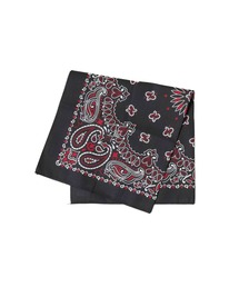 HAV-A-HANK（ハバハンク ）の「【78】【HAV-A-HANK】PAISLEY　BANDANNA（バンダナ/スカーフ）」