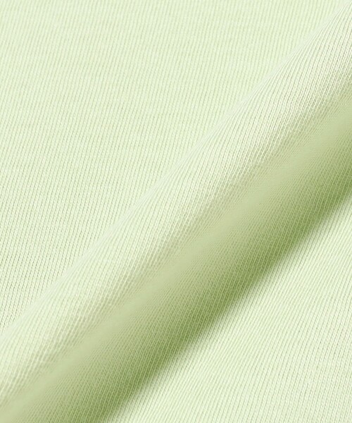 Ray BEAMS（レイビームス）の「【WEB限定】DANTON / ショート Tシャツ（Tシャツ/カットソー・レディース・ベージュ/グリーン系その他2/ホワイト/ピンク/ブラック/ライトブルー・MEDIUM）」の12枚目の写真