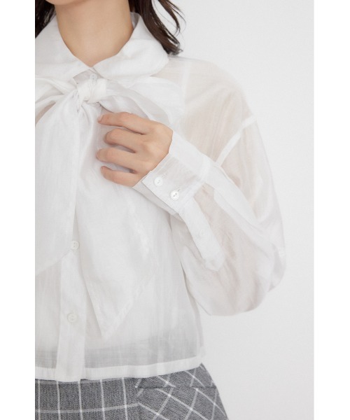 rienda(リエンダ)の「クロップドシアーシャツ 夏服 秋服(シャツ/ブラウス・レディース・ライトブルー/ブラック/ホワイト・FREE)」の14枚目の写真