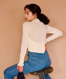 シアーネットメロータートル