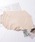 Lace Ladies�i���[�X���f�B�[�X�j�́u�y6���Z�b�g�z�V�[�����X �X�J���b�v�� �{�N�T�[ �V���[�c�i�V���[�c�j�v�b�x�[�W��