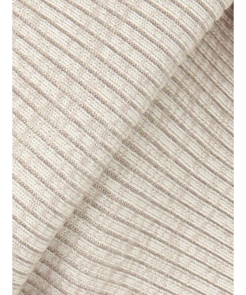 LAGUNAMOON（ラグナムーン）の「フロントZIPメランジニットプルオーバー（ニット/セーター・レディース・プラム/ベージュ/ブラック・FREE）」の11枚目の写真