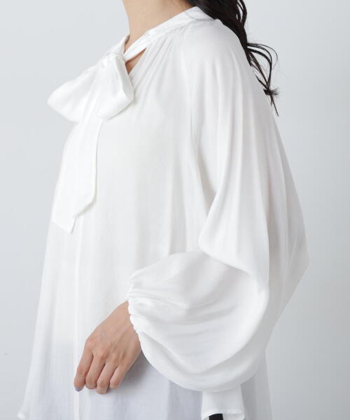 N.（N. Natural Beauty Basic）（エヌエヌナチュラルビューティーベーシック）の「◆前後２ｗａｙボウタイブラウス（シャツ/ブラウス・レディース・チャコールグレー/オフホワイト/ブルー・MEDIUM）」の11枚目の写真