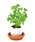 LAKOLEiRj́uGbOO / 574400iCeAG݁jvb̑4