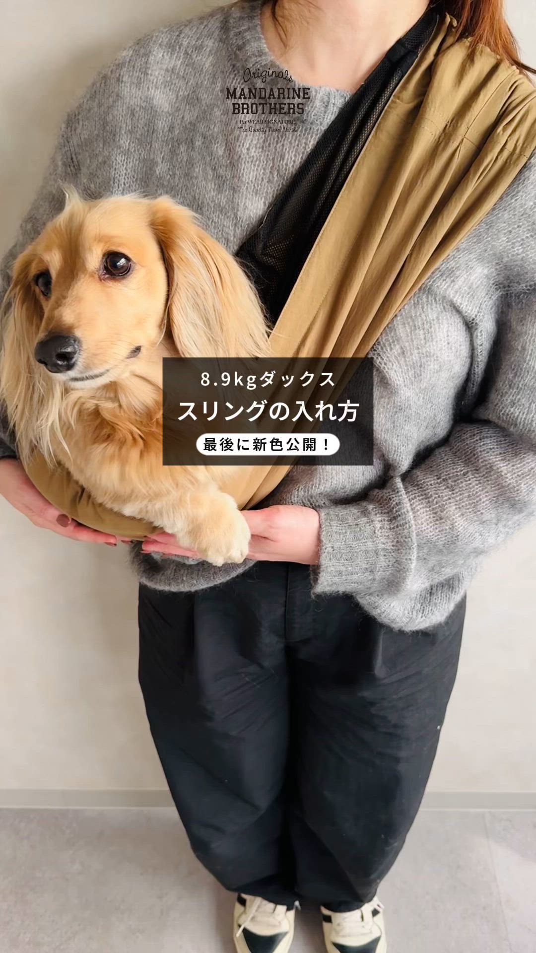 MBスリング/12kgまで/小型犬（ペット用キャリーケース）｜MANDARINE
