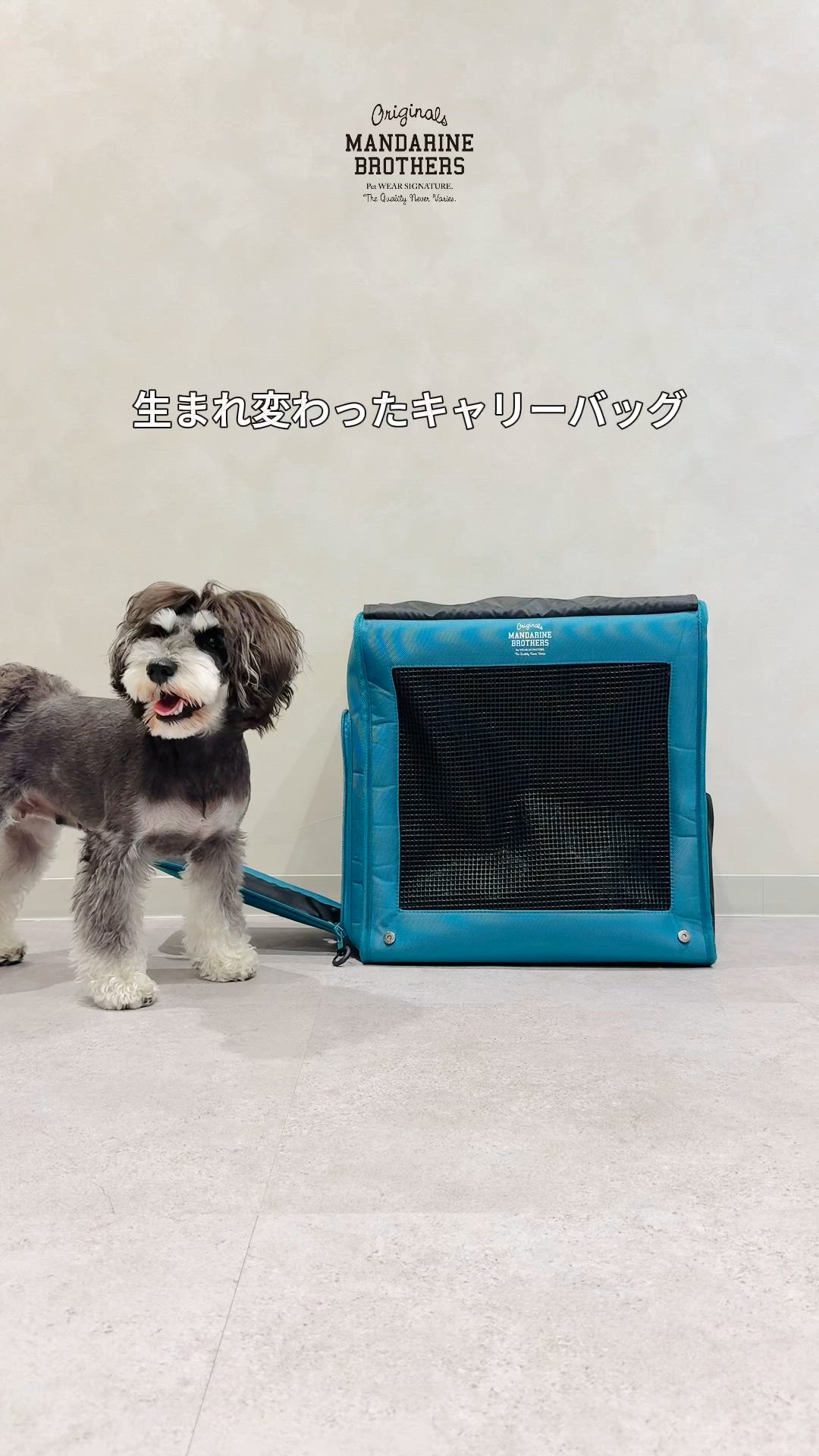 犬猫兼用/抗菌防臭】ブリクストンキャリーバックパック/15kgまで/小型