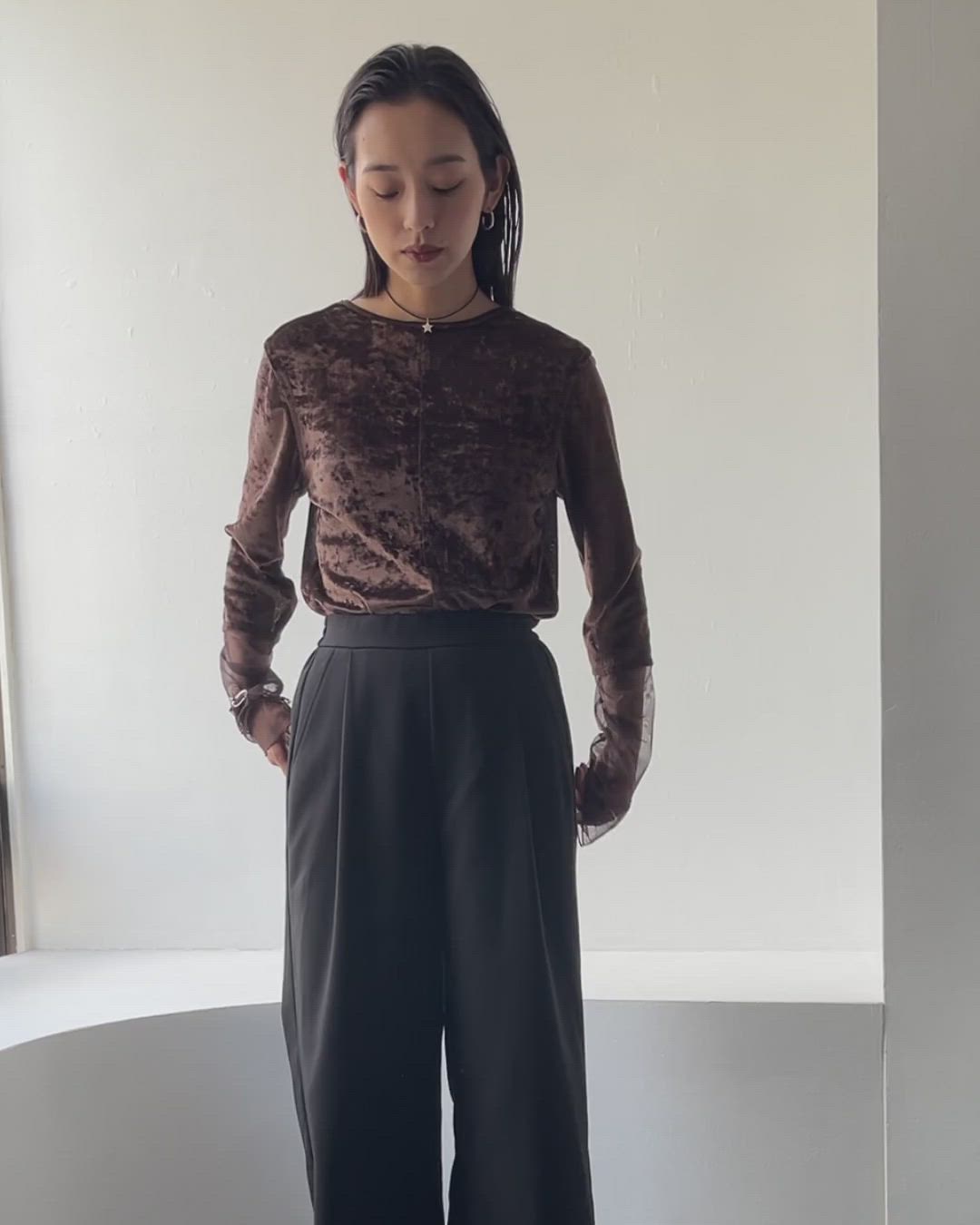 スリーブ 切り替え メッシュ ベロア トップス / Mesh Sleeve Sheer
