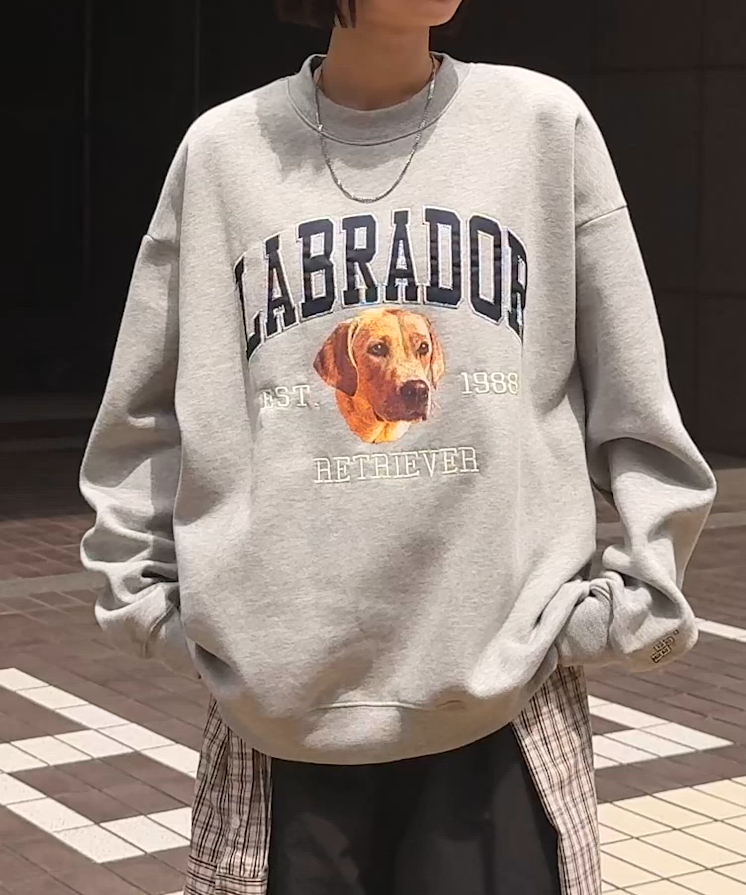 Labrador Retriever/ラブラドールレトリーバー 別注 カレッジロゴ刺繍 