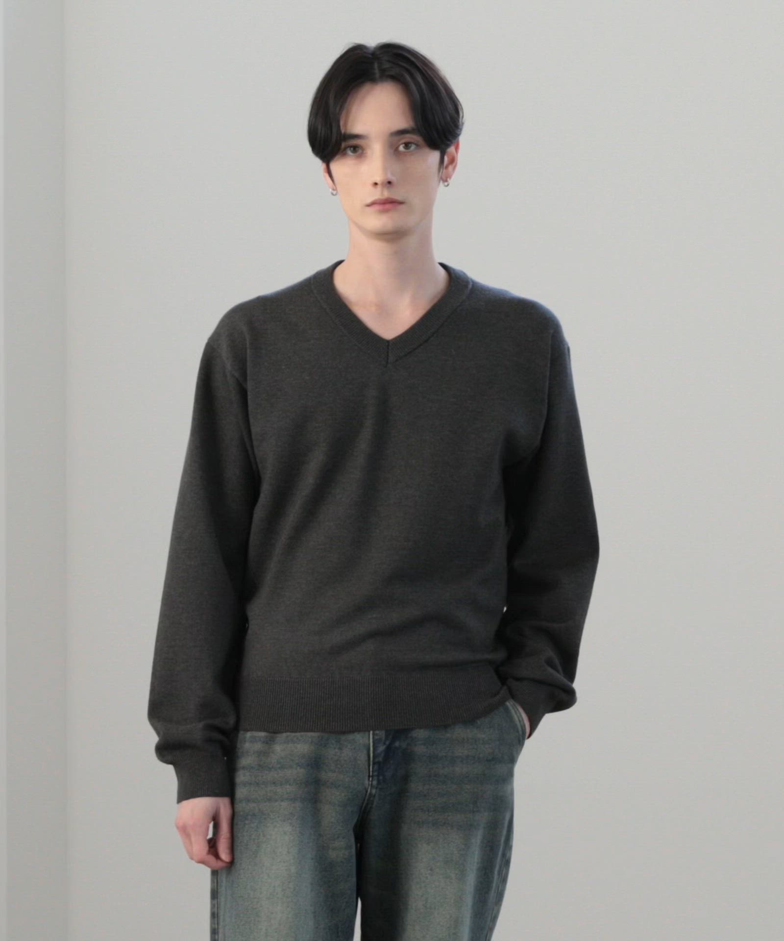 LUENNA】Basic V-Neck Knit / ベーシック Vネックニット（ニット